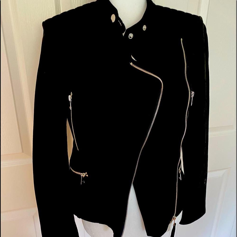 Genuine suede Bebe moto jacket